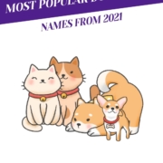 Most Popular Dog and Cat Names From 2021_Header