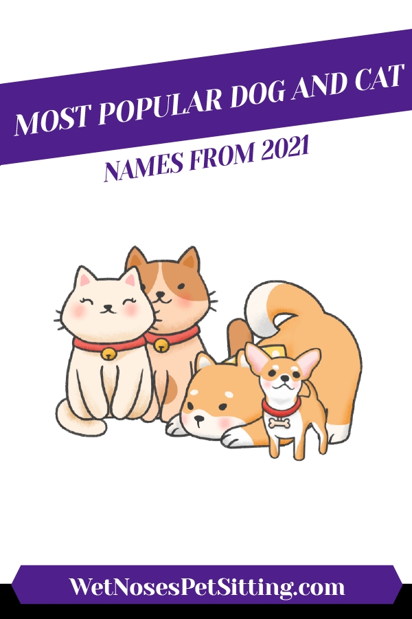 Most Popular Dog and Cat Names From 2021_Header