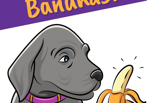 Can Dogs Eat Bananas?_Header