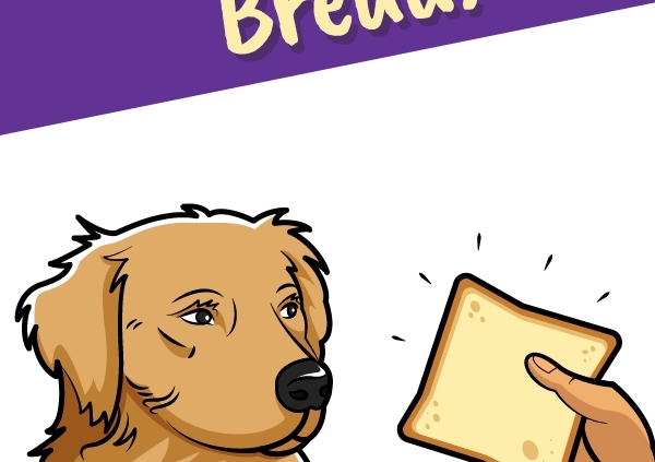 Can Dogs Eat Bread_Header