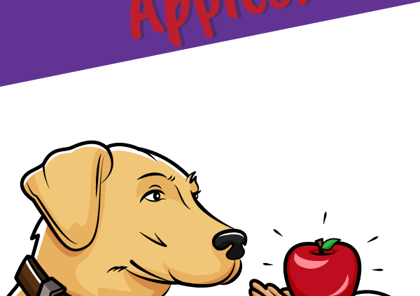 Can Dogs Eat Apples_Header