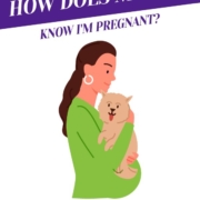 How Does My Dog Know I'm Pregnant?_Header