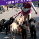 When Should you Book your Pet Sitter?_Header