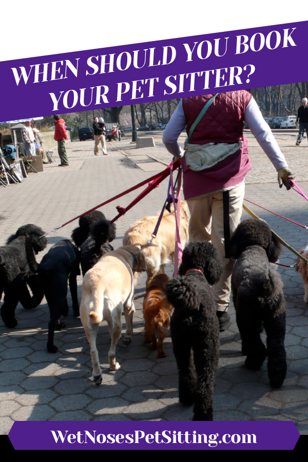 When Should you Book your Pet Sitter?_Header