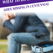What To Do If Your Pet Goes Missing in Centennial_Header