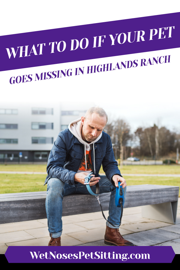 What To Do If Your Pet Goes Missing in Highlands_Ranch