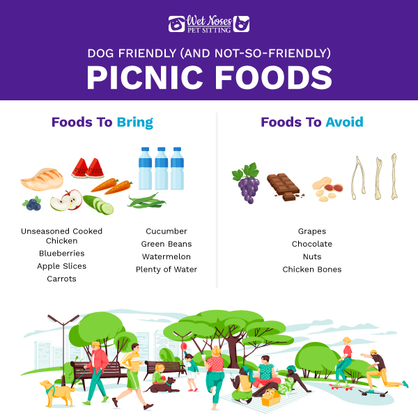 Dog Friendly Picnic Foods Infographic