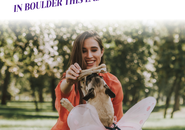 Fun with Your Dog in Boulder this Labor Day Weekend_Header