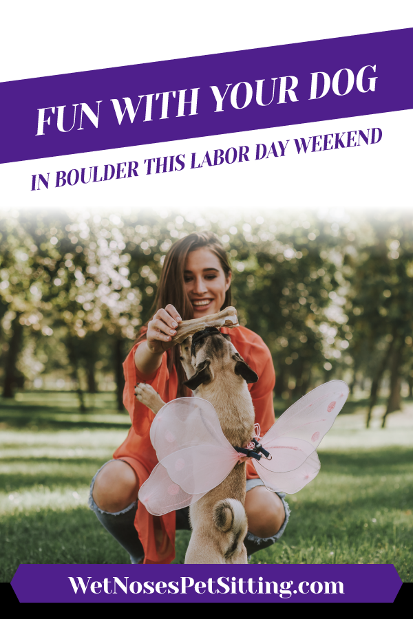 Fun with Your Dog in Boulder this Labor Day Weekend_Header