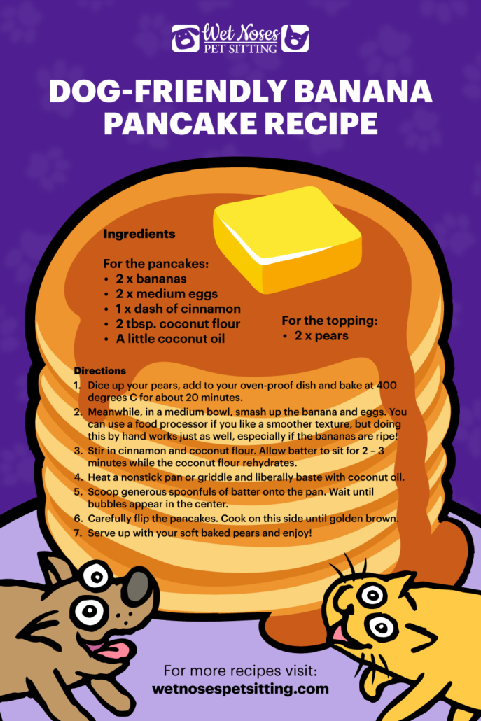 Easy DogFriendly Banana Pancake Recipe Wet Noses Pet Sitting