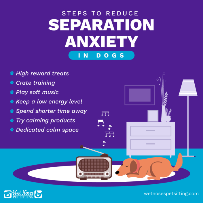 Best Ways to Deal with Canine Separation Anxiety Wet Noses Pet Sitting