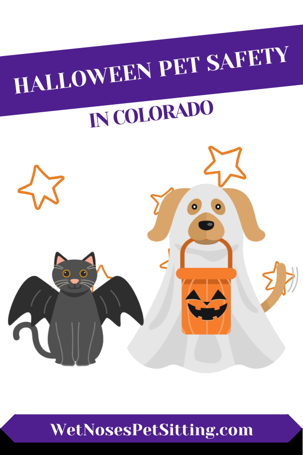 https://wetnosespetsitting.com/wp-content/uploads/2023/10/Halloween-Pet-Safety-in-Colorado.png